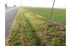Property photo 13 - 60 Acres Offered in 2 Tracts